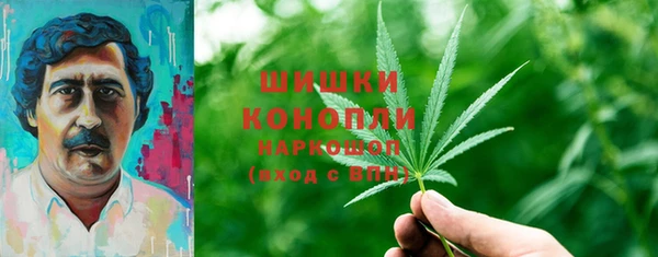 соль ск Бородино