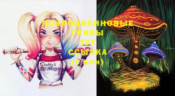 ECSTASY Бугульма