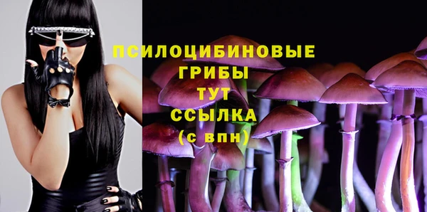 ECSTASY Бугульма