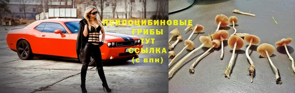 ECSTASY Бугульма