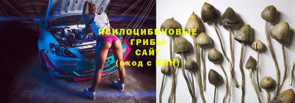соль ск Бородино
