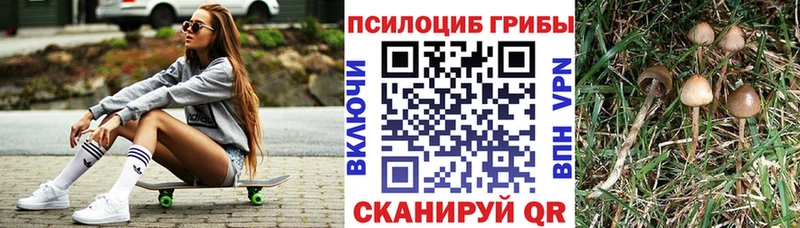даркнет сайт  Йошкар-Ола  Галлюциногенные грибы мицелий 
